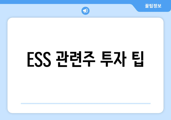 ESS 관련주 투자 팁