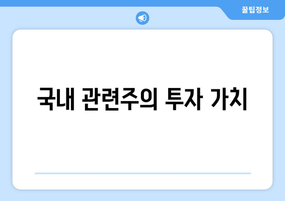 국내 관련주의 투자 가치