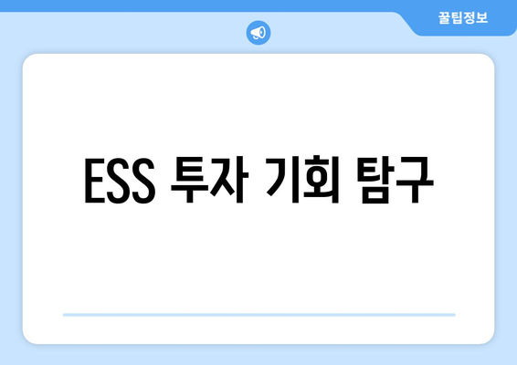 ESS 투자 기회 탐구