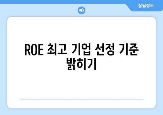 ROE 최고 기업 선정 기준 밝히기