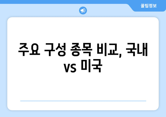 주요 구성 종목 비교, 국내 vs 미국