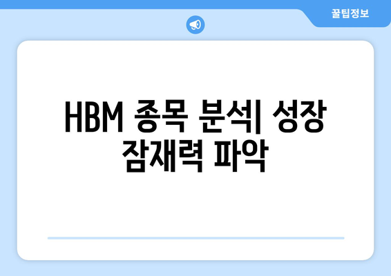 HBM 종목 분석| 성장 잠재력 파악