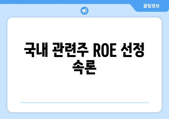 국내 관련주 ROE 선정 속론