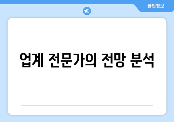 업계 전문가의 전망 분석