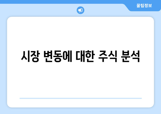 시장 변동에 대한 주식 분석