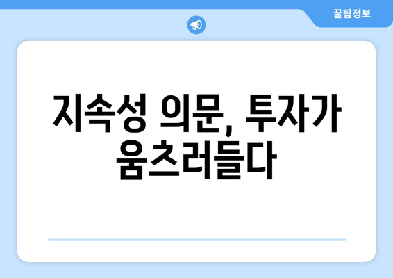 지속성 의문, 투자가 움츠러들다