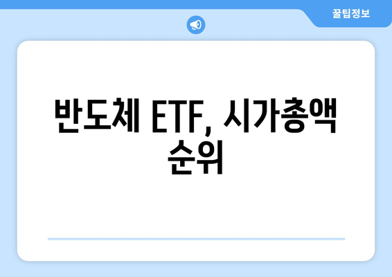 반도체 ETF, 시가총액 순위