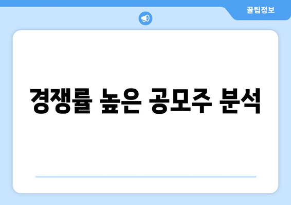 경쟁률 높은 공모주 분석