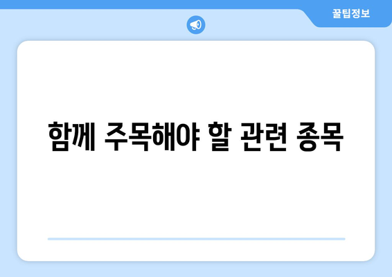 함께 주목해야 할 관련 종목