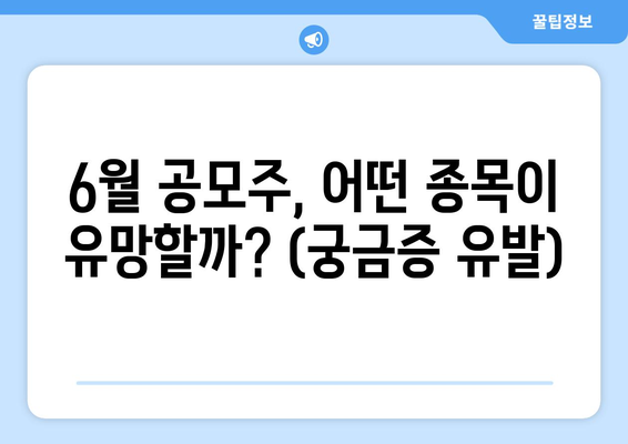 6월 공모주, 어떤 종목이 유망할까? (궁금증 유발)
