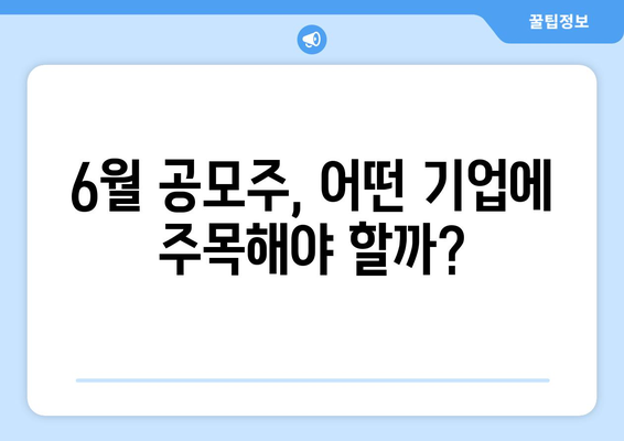 6월 공모주, 어떤 기업에 주목해야 할까?