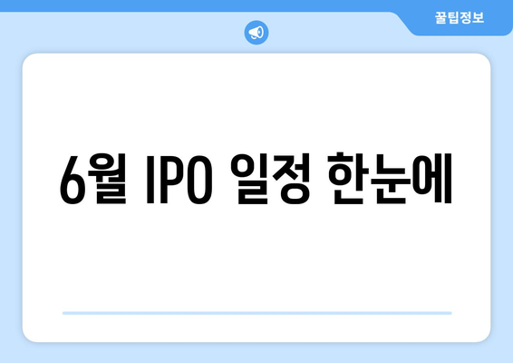 6월 IPO 일정 한눈에