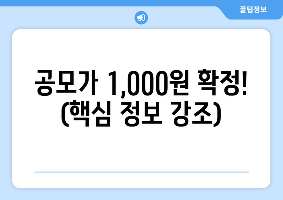 공모가 1,000원 확정! (핵심 정보 강조)