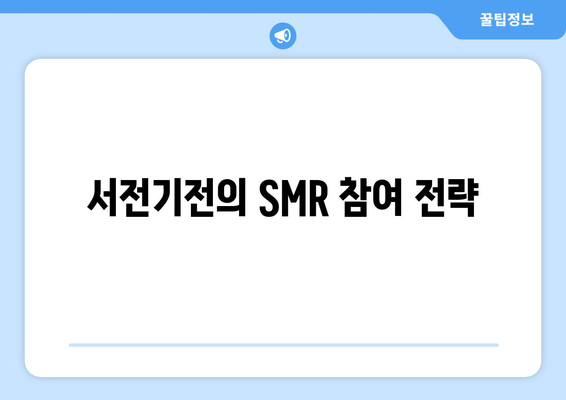 서전기전의 SMR 참여 전략