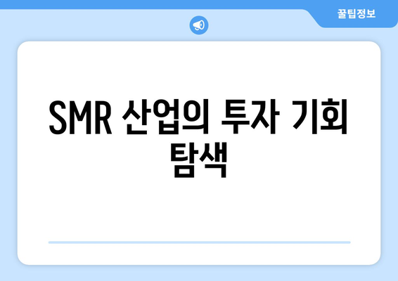 SMR 산업의 투자 기회 탐색