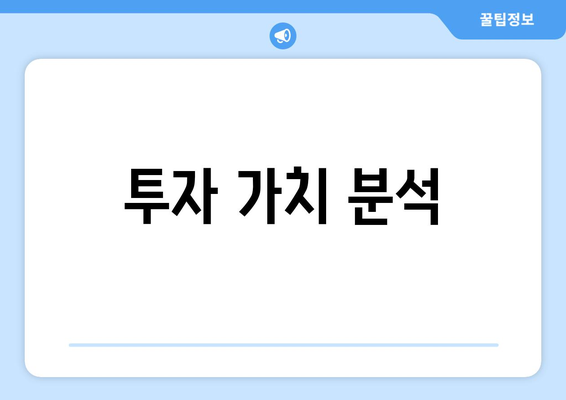 투자 가치 분석