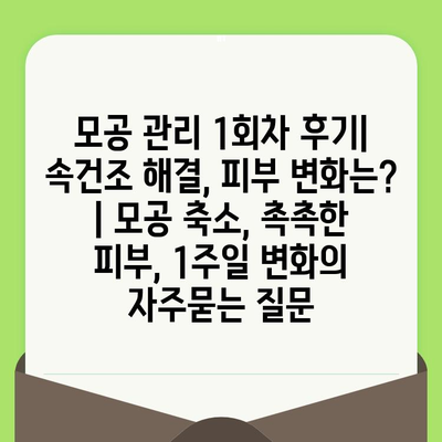 모공 관리 1회차 후기| 속건조 해결, 피부 변화는? | 모공 축소, 촉촉한 피부, 1주일 변화