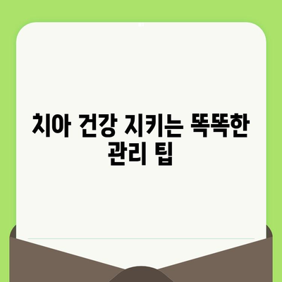 염창역 치과, 치아 건강 지키는 정기검진의 중요성 | 염창역 치과 추천, 치아 건강 관리 팁