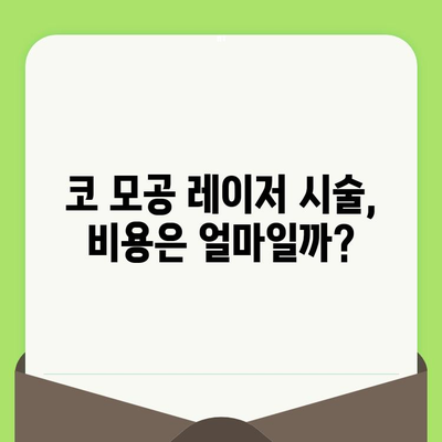 코 모공 축소 레이저 고민, 이제 그만! 🔍  나에게 딱 맞는 해결책 찾기 | 모공 축소, 레이저 시술, 효과, 비용, 후기