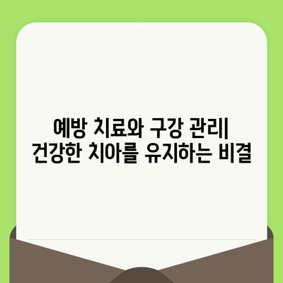 대전 도마동 치과| 검진으로 미리 잡는 건강한 치아 | 예방 치료, 구강 관리, 치과 추천
