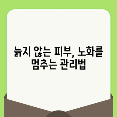 탄력, 노화, 체형까지! 피부 관리의 모든 것 | 피부 탄력, 주름 개선, 체형 관리, 뷰티 팁