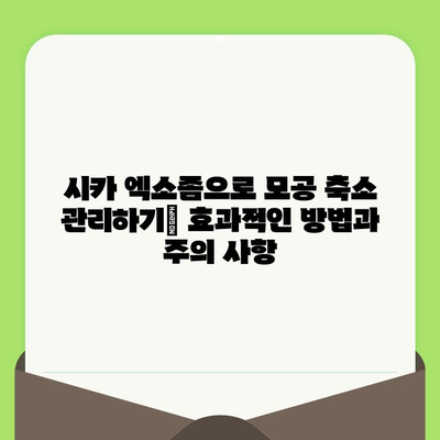 시카 엑소좀으로 모공 축소 관리하기| 효과적인 방법과 주의 사항 | 모공 관리, 엑소좀, 시카 크림, 피부 개선