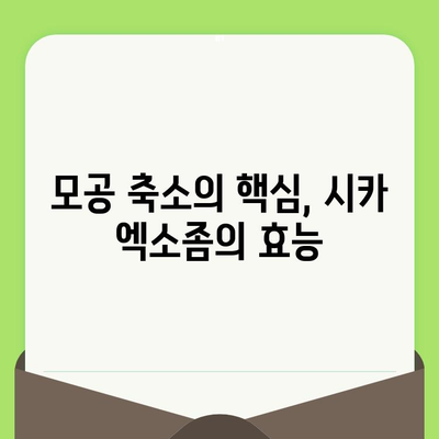 시카 엑소좀으로 모공 축소 관리하기| 효과적인 방법과 주의 사항 | 모공 관리, 엑소좀, 시카 크림, 피부 개선