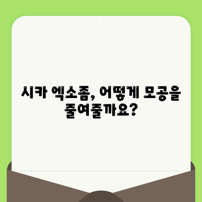 시카 엑소좀으로 모공 축소 관리하기| 효과적인 방법과 주의 사항 | 모공 관리, 엑소좀, 시카 크림, 피부 개선