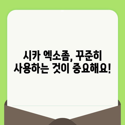 시카 엑소좀으로 모공 축소 관리하기| 효과적인 방법과 주의 사항 | 모공 관리, 엑소좀, 시카 크림, 피부 개선