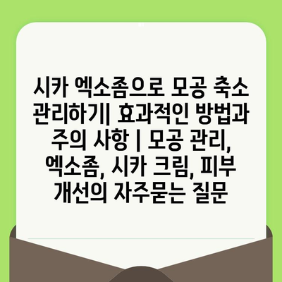 시카 엑소좀으로 모공 축소 관리하기| 효과적인 방법과 주의 사항 | 모공 관리, 엑소좀, 시카 크림, 피부 개선