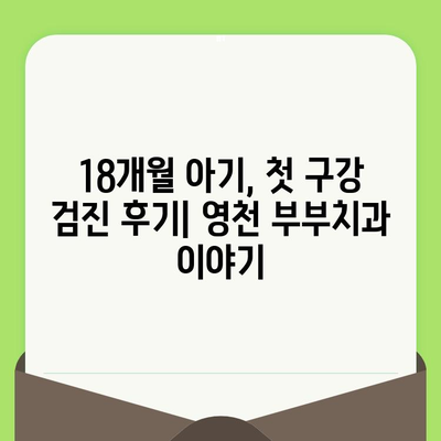 18개월 아기, 영천 부부치과에서 첫 구강 검진 후기| 예약부터 검진까지 상세 정보 | 영유아 구강 검진, 1차 검진, 영천 치과