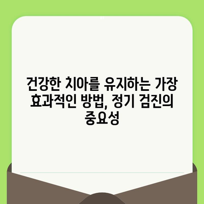 건강한 치아를 위한 필수 가이드| 정기 검진과 식립의 중요성 | 치아 건강, 구강 관리, 치과 방문, 임플란트