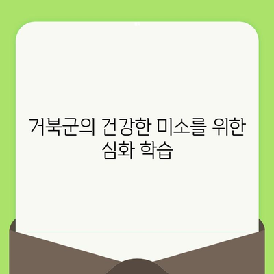 동료상담가 심화과정| 거북군 치과검진의 실제 | 상담, 거북이, 치과, 건강, 심화 학습