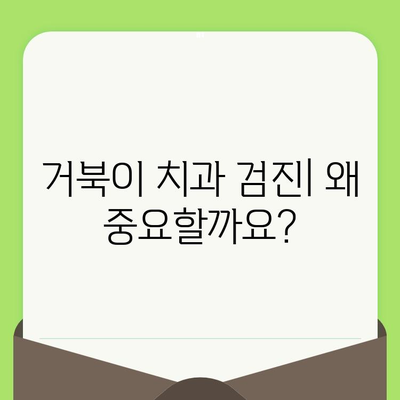 동료상담가 심화과정| 거북군 치과검진의 실제 | 상담, 거북이, 치과, 건강, 심화 학습