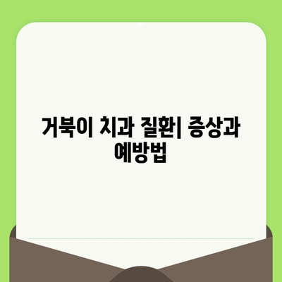 동료상담가 심화과정| 거북군 치과검진의 실제 | 상담, 거북이, 치과, 건강, 심화 학습