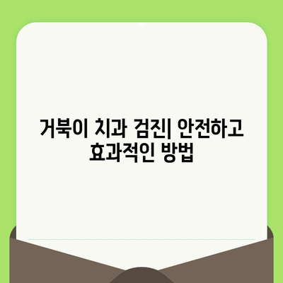 동료상담가 심화과정| 거북군 치과검진의 실제 | 상담, 거북이, 치과, 건강, 심화 학습