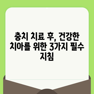 치아 검진 후 충치 치료, 건강한 치아 유지하는 3가지 필수 지침 | 충치 예방, 치아 관리, 치과 상담