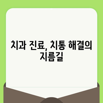 치과 검진 후 치통| 원인, 예방, 그리고 효과적인 대처 방법 | 치통, 통증 완화, 치과 진료