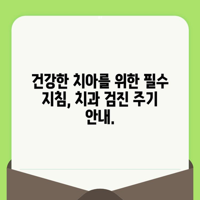 치과 검진 주기별 안내| 나에게 맞는 검진 주기와 비용 알아보기 | 치과, 건강검진, 비용, 주기