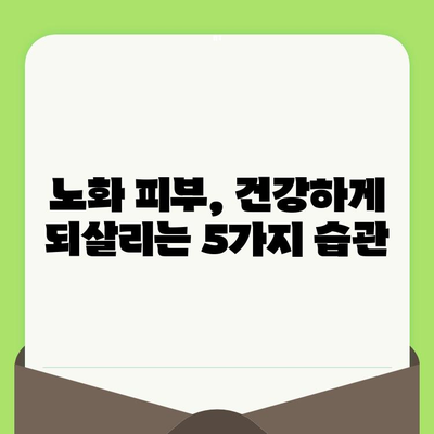 손상된 노화 피부, 이제 고민 끝! 🔍  피부 회복 솔루션 5가지 | 노화 피부, 피부 개선, 피부 관리, 탄력, 주름, 미백