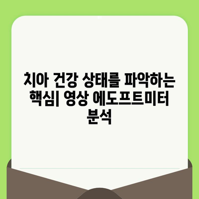 영상 에도프트미터로 치아 건강 상태를 정확하게 파악하는 방법 | 치아 건강, 구강 관리, 에도프트미터 활용