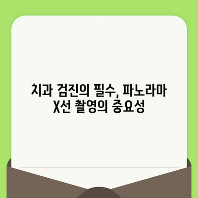 파노라마 X선 촬영| 입안 건강의 모든 것을 한눈에 파악하기 | 치과 검진, 구강 건강, 치아 관리