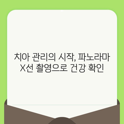 파노라마 X선 촬영| 입안 건강의 모든 것을 한눈에 파악하기 | 치과 검진, 구강 건강, 치아 관리