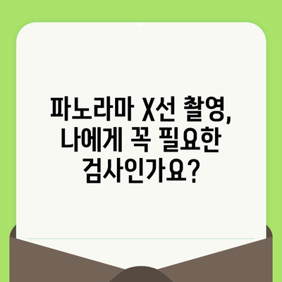 파노라마 X선 촬영| 입안 건강의 모든 것을 한눈에 파악하기 | 치과 검진, 구강 건강, 치아 관리