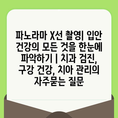 파노라마 X선 촬영| 입안 건강의 모든 것을 한눈에 파악하기 | 치과 검진, 구강 건강, 치아 관리