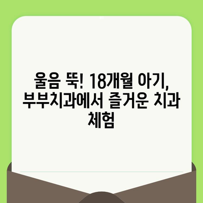 18개월 아기 첫 구강 검진, 영천 부부치과에서 해결! | 영유아 치과 검진, 후기, 경험 공유