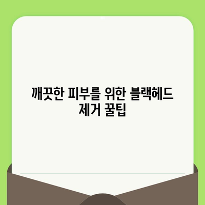 블랙헤드 제거제로 모공 관리하는 꿀팁 | 모공 축소, 피부 개선, 블랙헤드 제거