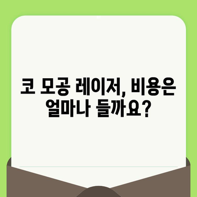 코 모공 축소 레이저, 예상치 못한 해결책| 당신의 고민 해결하는 솔루션 | 모공 레이저, 효과, 부작용, 비용, 추천