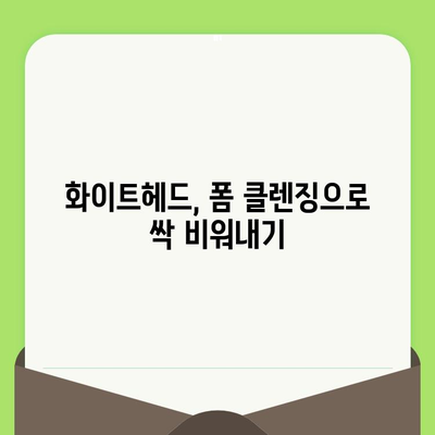 폼 클렌징으로 깨끗한 모공 만들기| 5단계 모공 관리 가이드 | 폼 클렌징, 모공 축소, 피지 제거, 블랙헤드 제거, 화이트헤드 제거