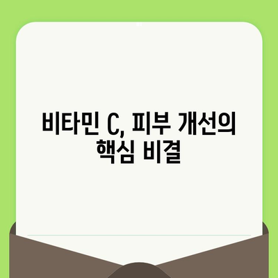 모공 축소의 비밀, 비타민 C의 놀라운 효과 공개 | 피부 개선, 탄력, 콜라겐, 비타민 C 효능